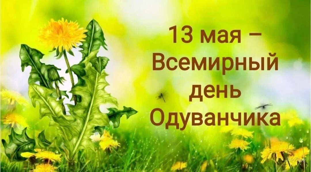 Всемирный День Одуванчиков: Как мы отметили праздник природы в детском саду!