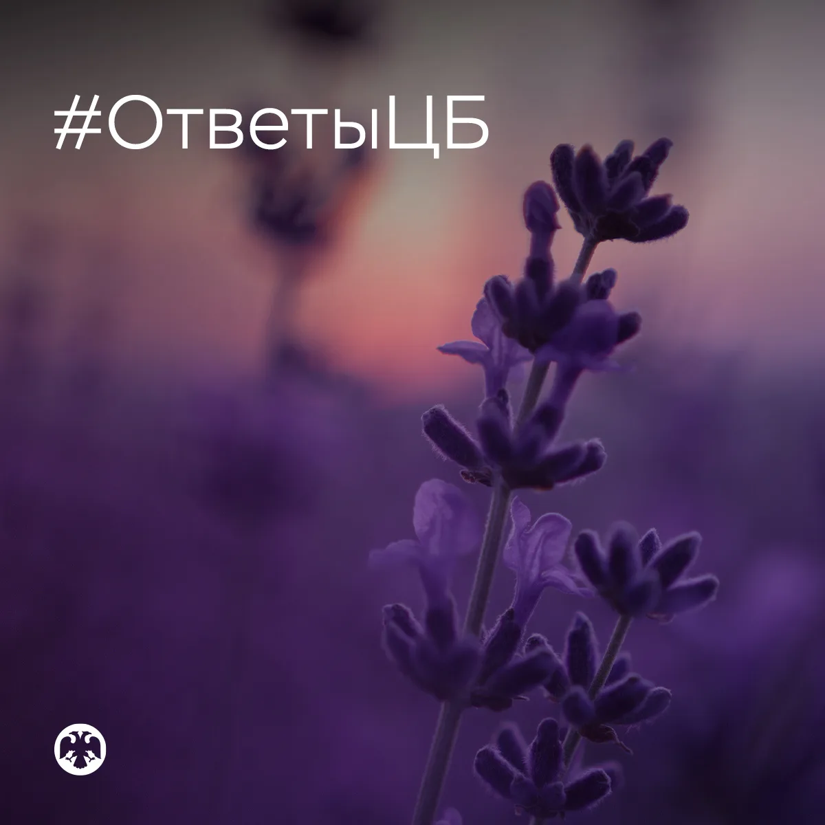 #ОтветыЦБ