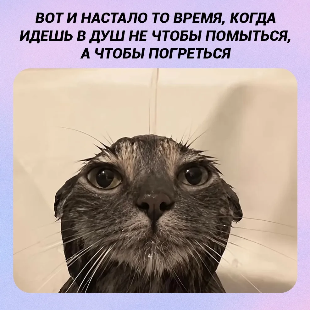 Посмотрели прогноз на неделю, в четверг ночью уже минусовая температура (