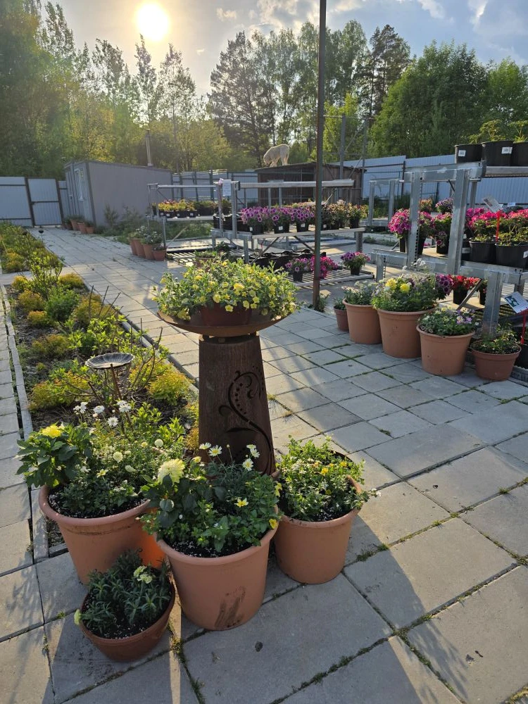 Бесконечный простор для творчества. Люблю свою работу 🌱😍