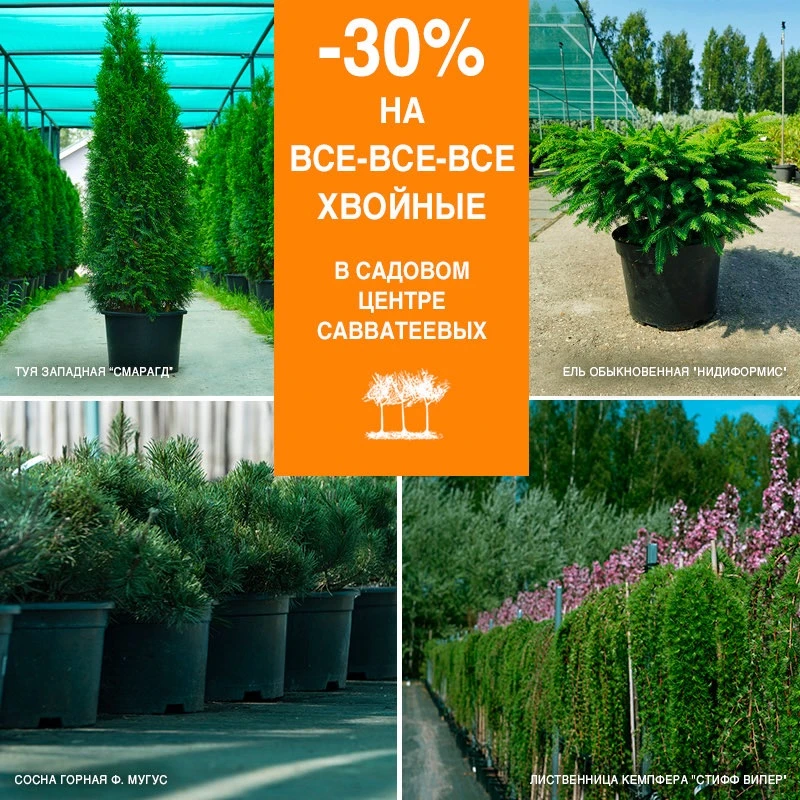Друзья, в «Садовом центре Савватеевых»