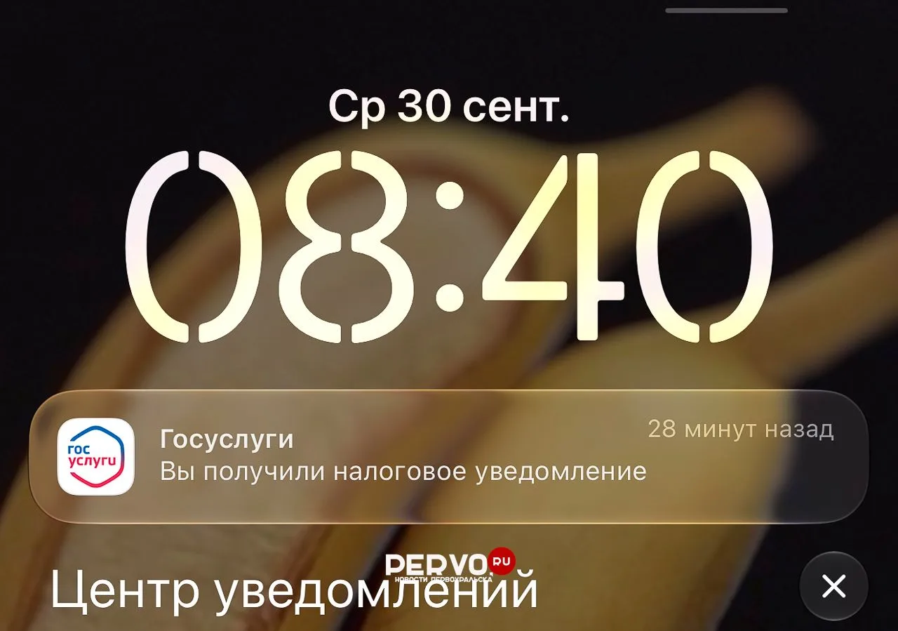 💰Налоговая приступила к рассылке уведомлений