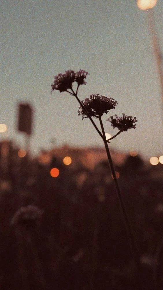 @oboi_wallpaper_kpop