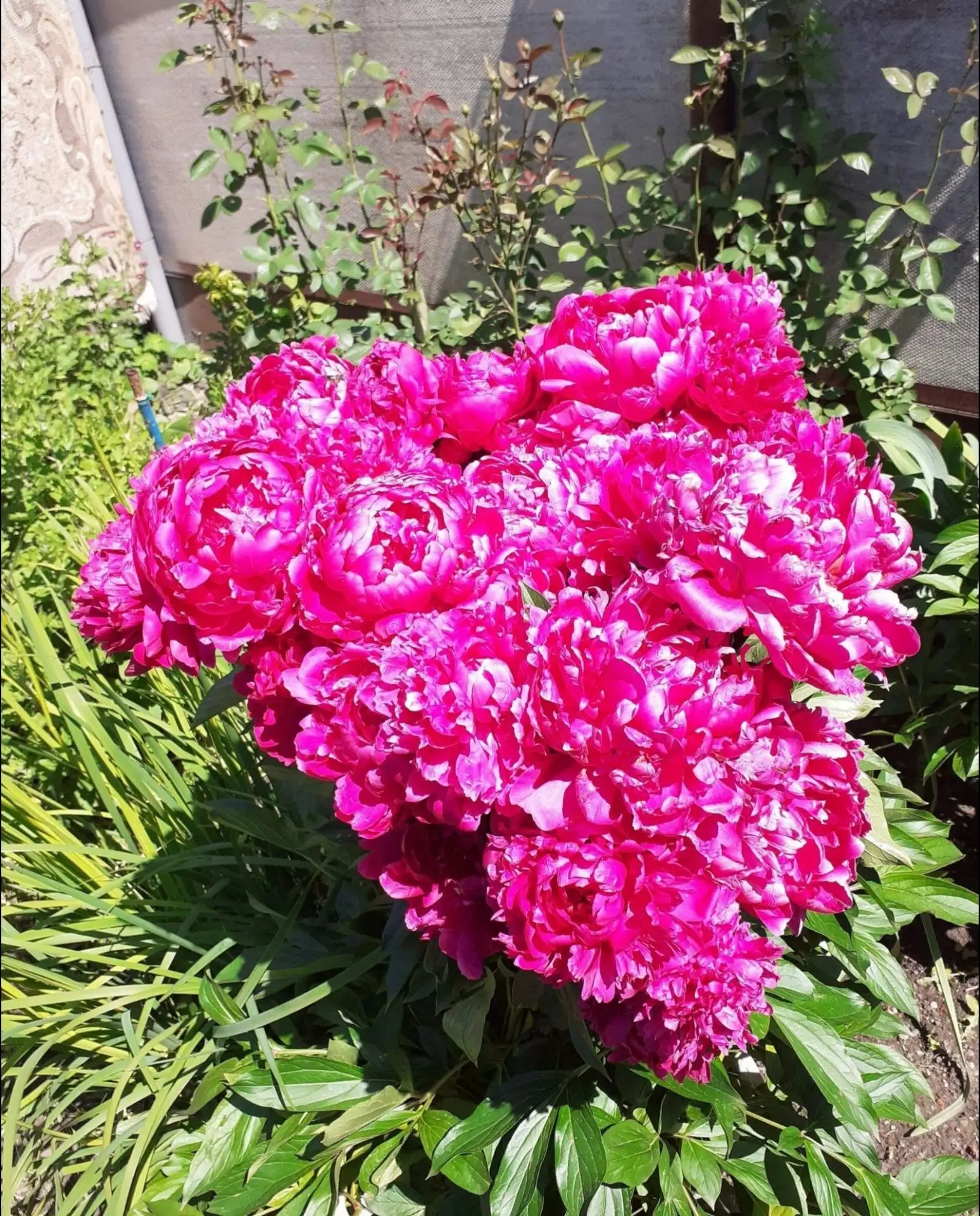 ☀️ Доброе утро!