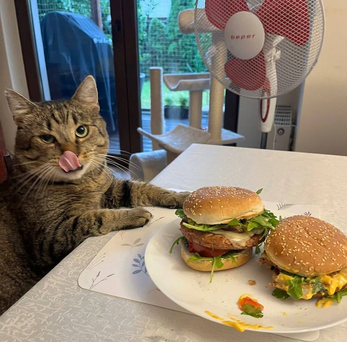 🍔 День рождения гамбургера отмечается сегодня 

- Отправляйте тому, с кем хотели бы отпраздновать и