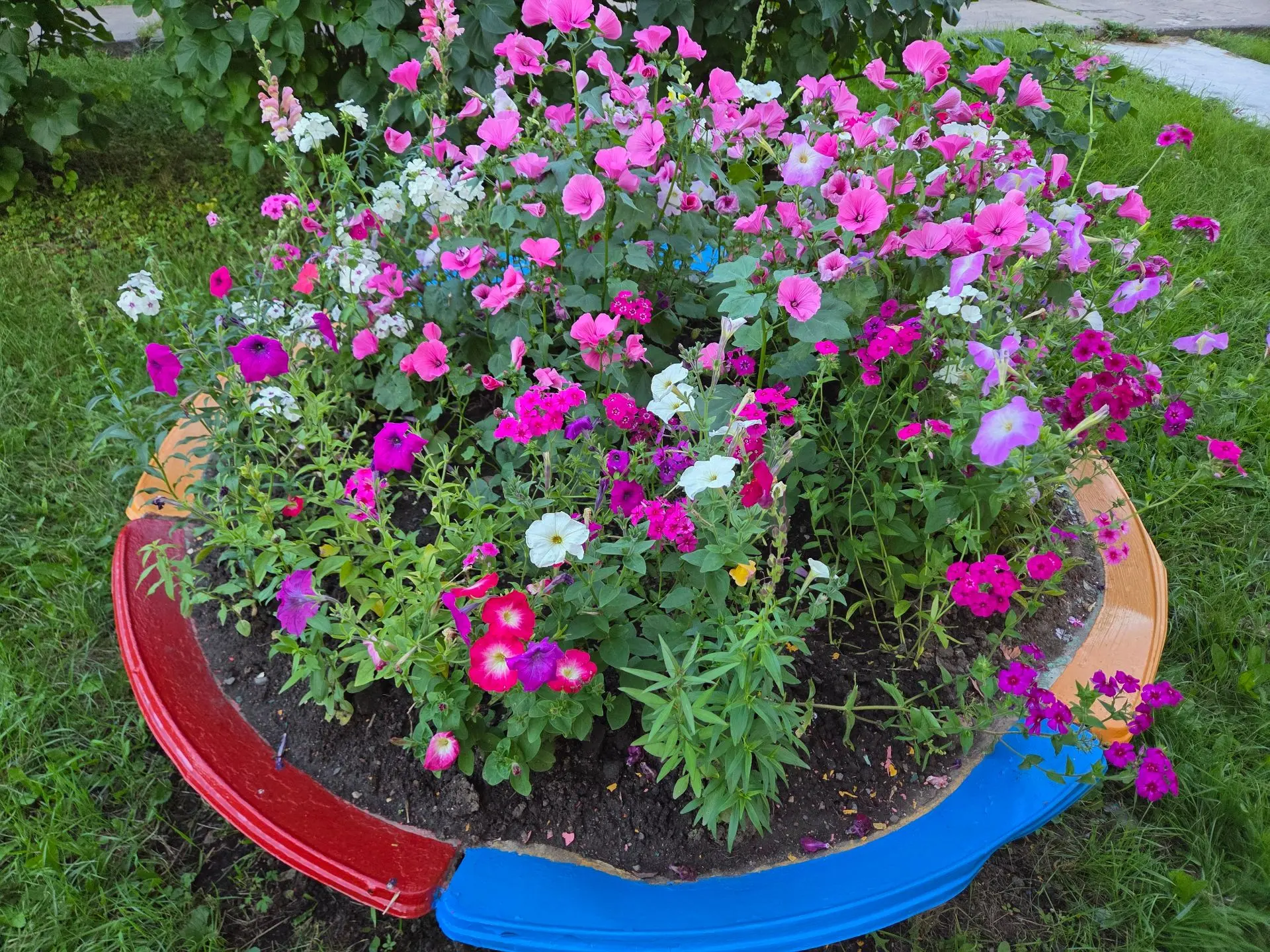 🌸 Лето потихоньку прощается с нами… Но пока оно ещё дарит тепло и яркие краски! ☀️
