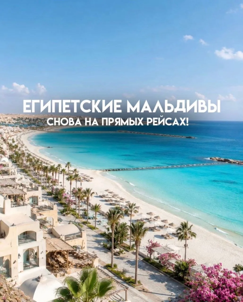 ОБЪЯВЛЕН СТАРТ ПРОДАЖ НОВОГО НАПРАВЛЕНИЯ — ЭЛЬ-АЛАМЕЙН!