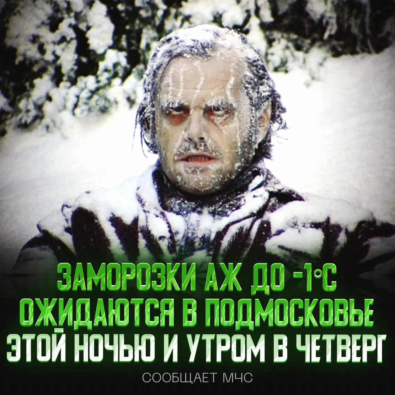 🥶 Заморозки до -1°C  ожидают жителей Подмосковье предстоящей ночью и утром в четверг!