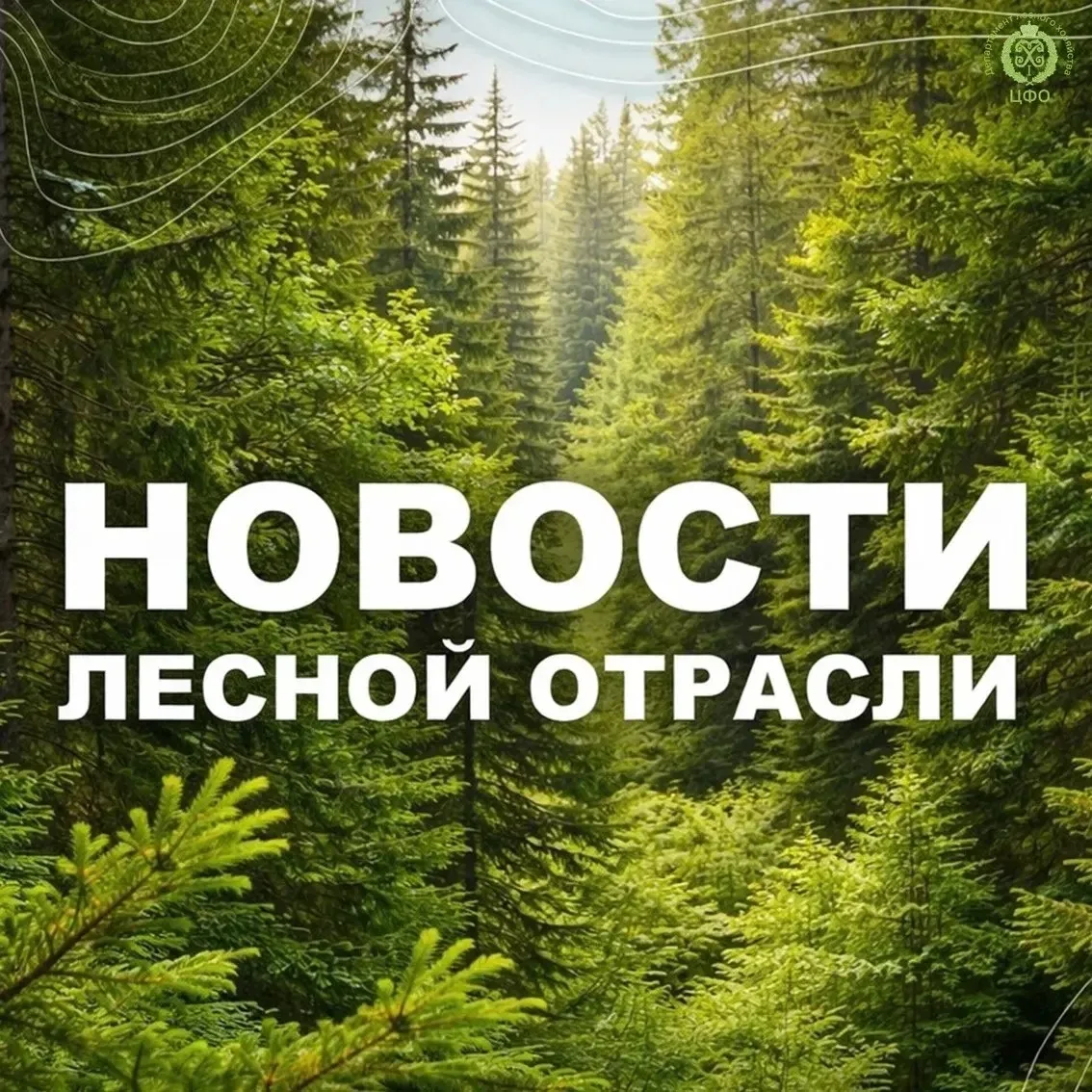 🟢Regions.ru: Пожарная опасность в лесах: что ждет Подмосковье 17–19 августа