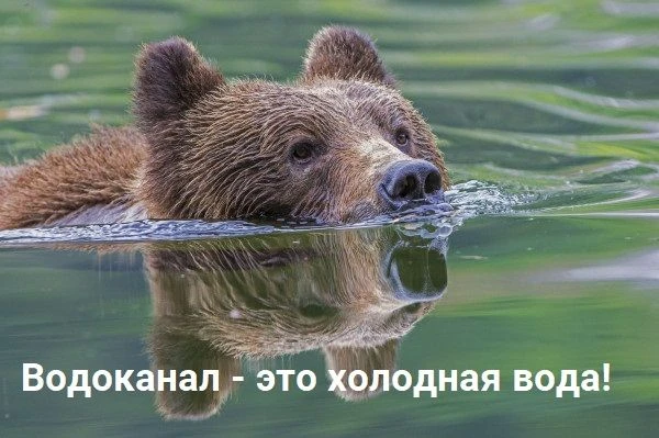 Когда вы захотите узнать у АО «Водоканал», почему нет горячей воды, вспомните, что:👆👆👆