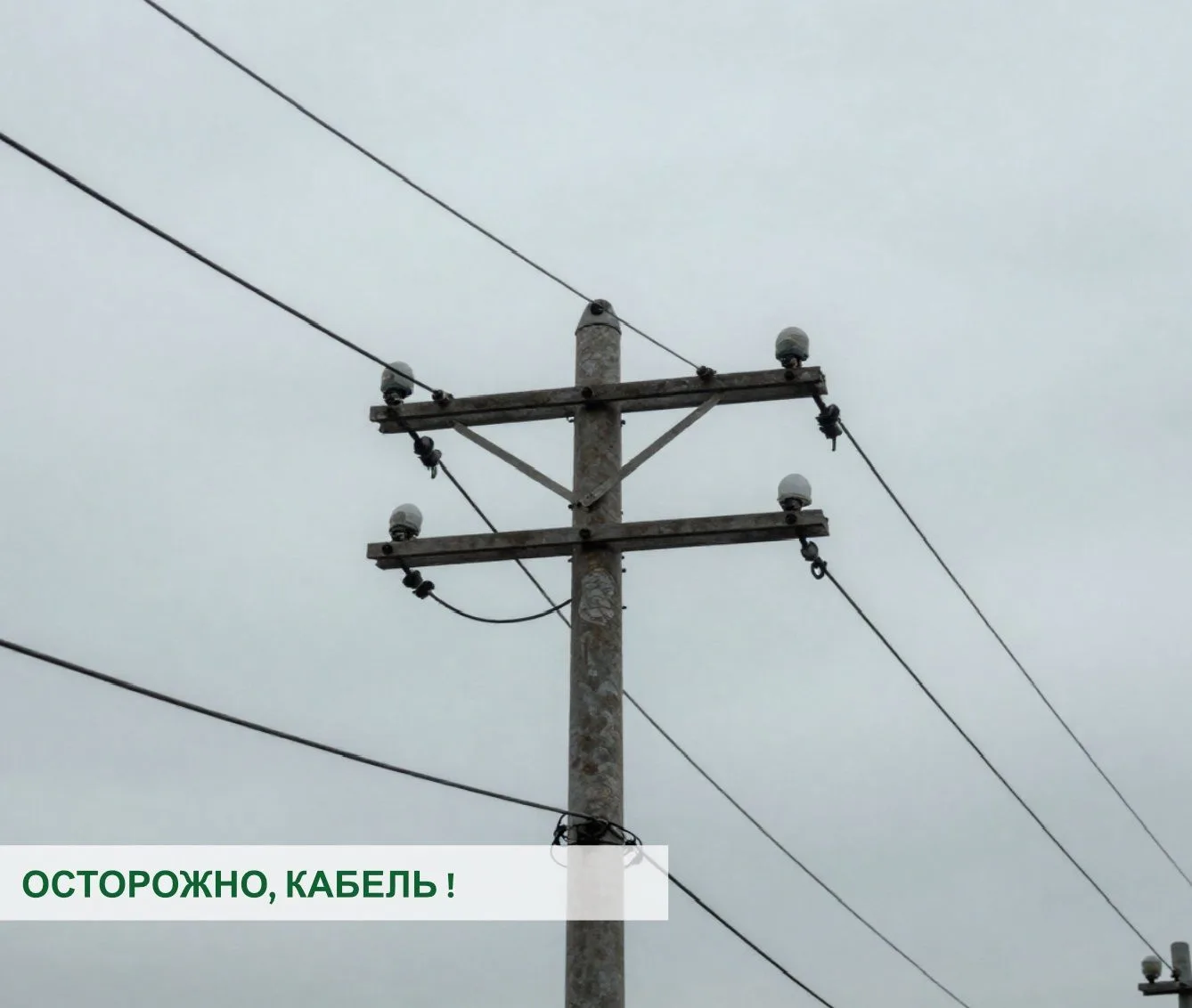 ⚠️С наступлением жары наш транспортировщик сталкивается с новой проблемой: под воздействием высоких 