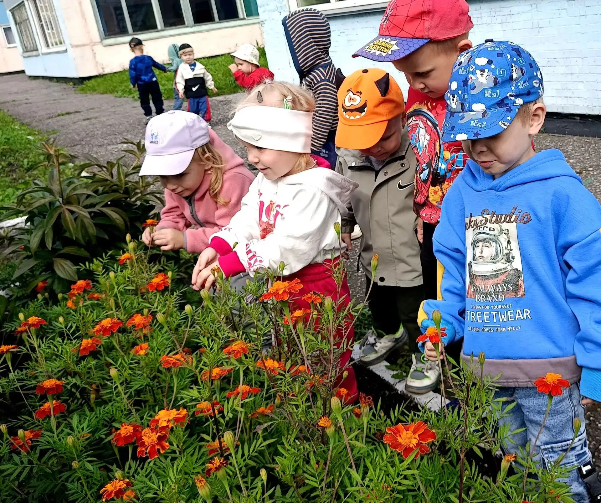 В нашем детском саду растут не только дети, но и клумбы❤️🌷