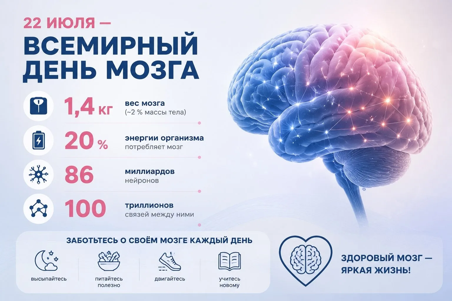 🧠 22 июля — Всемирный день мозга! Разбираем суперсилы нашего главного органа!

Наш мозг — это невер
