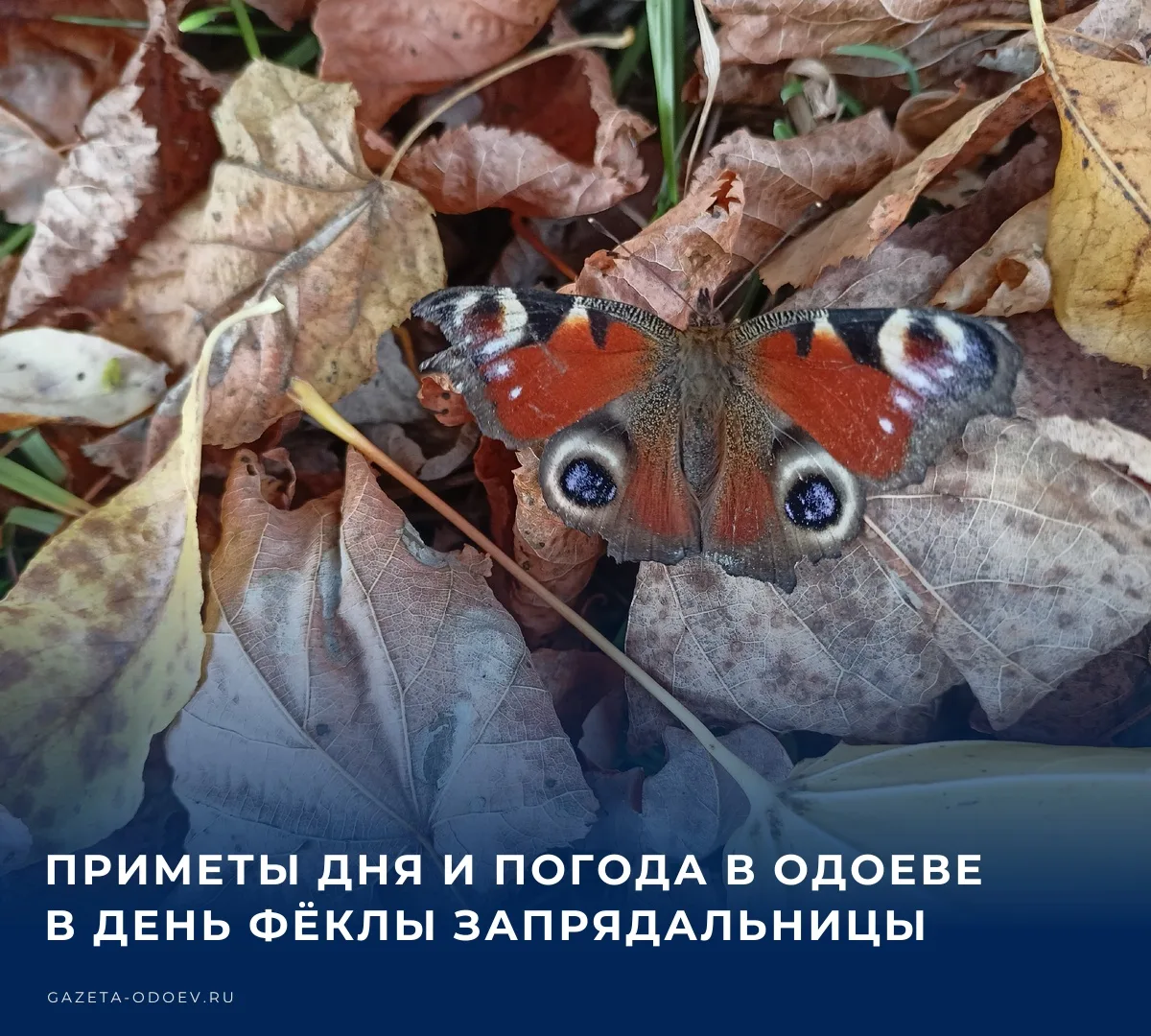 🌧️ Сегодня, 7 октября, в Одоеве ожидается +15...+9 °C, без осадков. Юго-западный ветер...