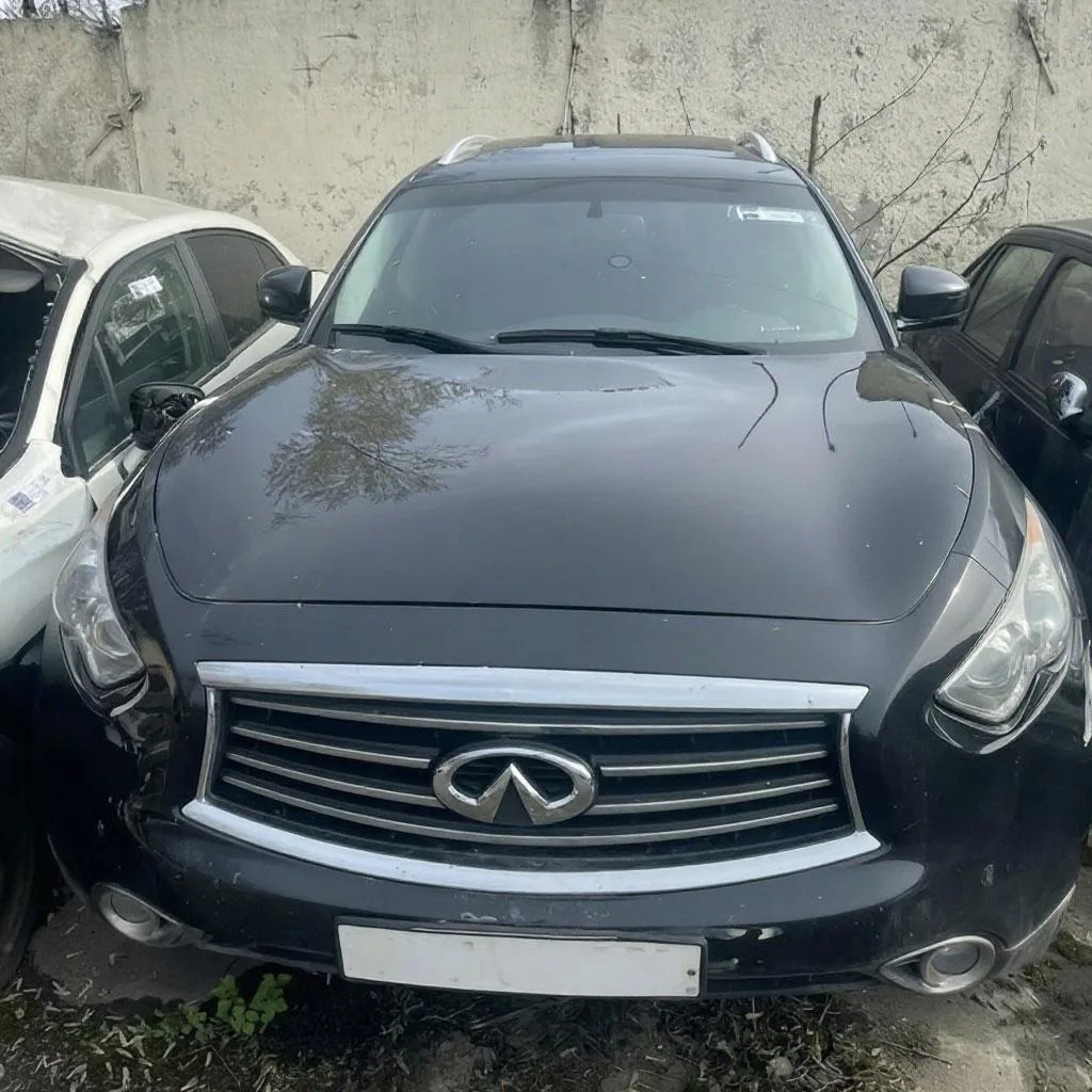 🫤За пьяную езду у зеленоградца конфисковали «Infiniti FX37» и передали военным

Мужчина, ранее прив