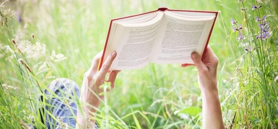 Если все наперекосяк, возьми в руки хорошую книгу, она поможет.

📚Эльчин Сафарли «Когда я вернусь, 