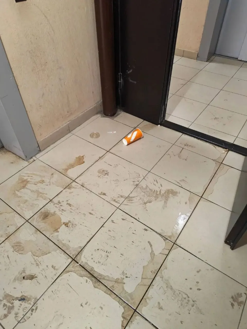 Свиньи, уберите за собой