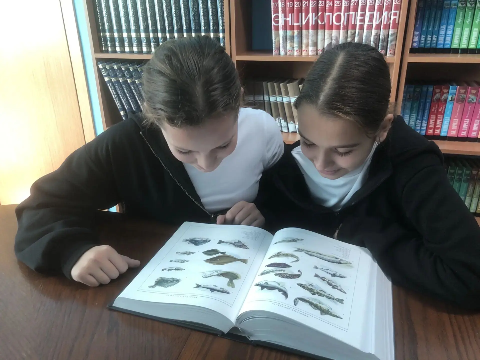 📜 История одной книги