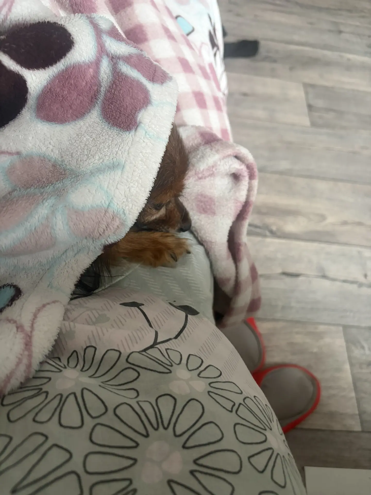 Всем доброе утречко 🥰