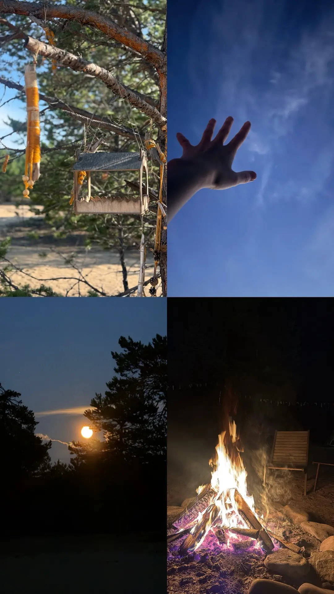 Фото