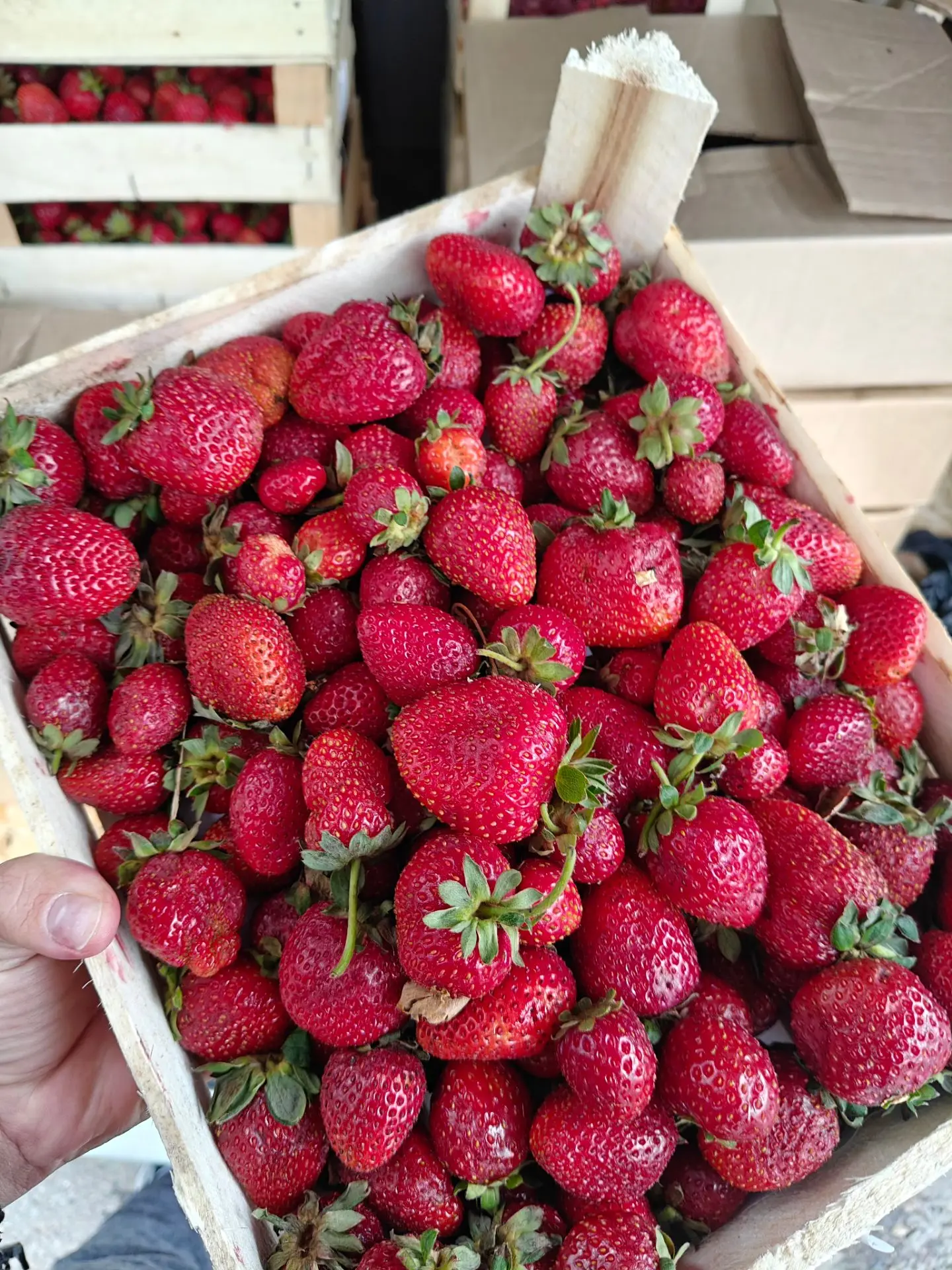 Сегодня 26.08