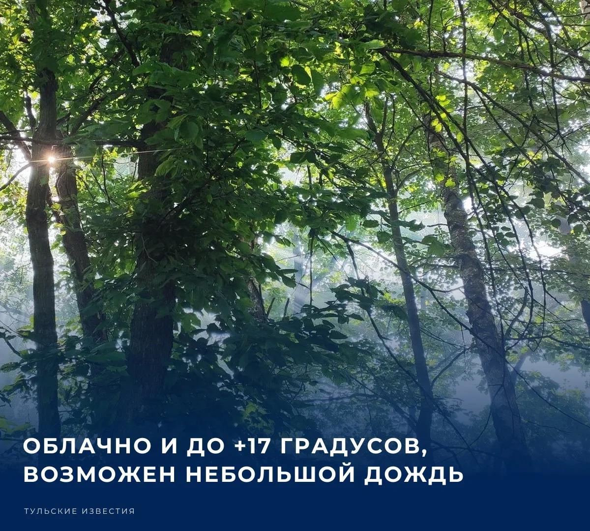 ☁️ Сегодня в регионе ожидается облачная и прохладная погода.