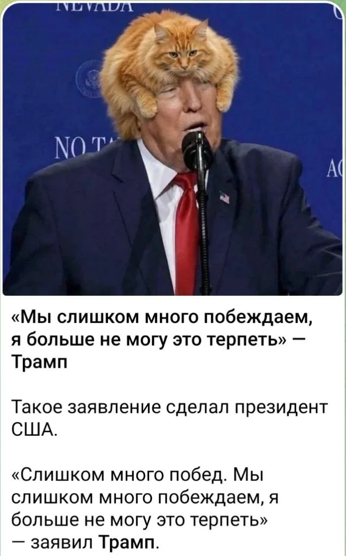 Придурок! Кота моего верни!