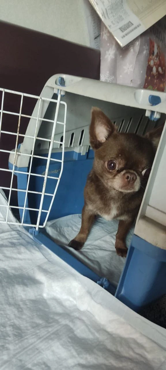 💥Наш канал в MAX: max.ru/zootransports