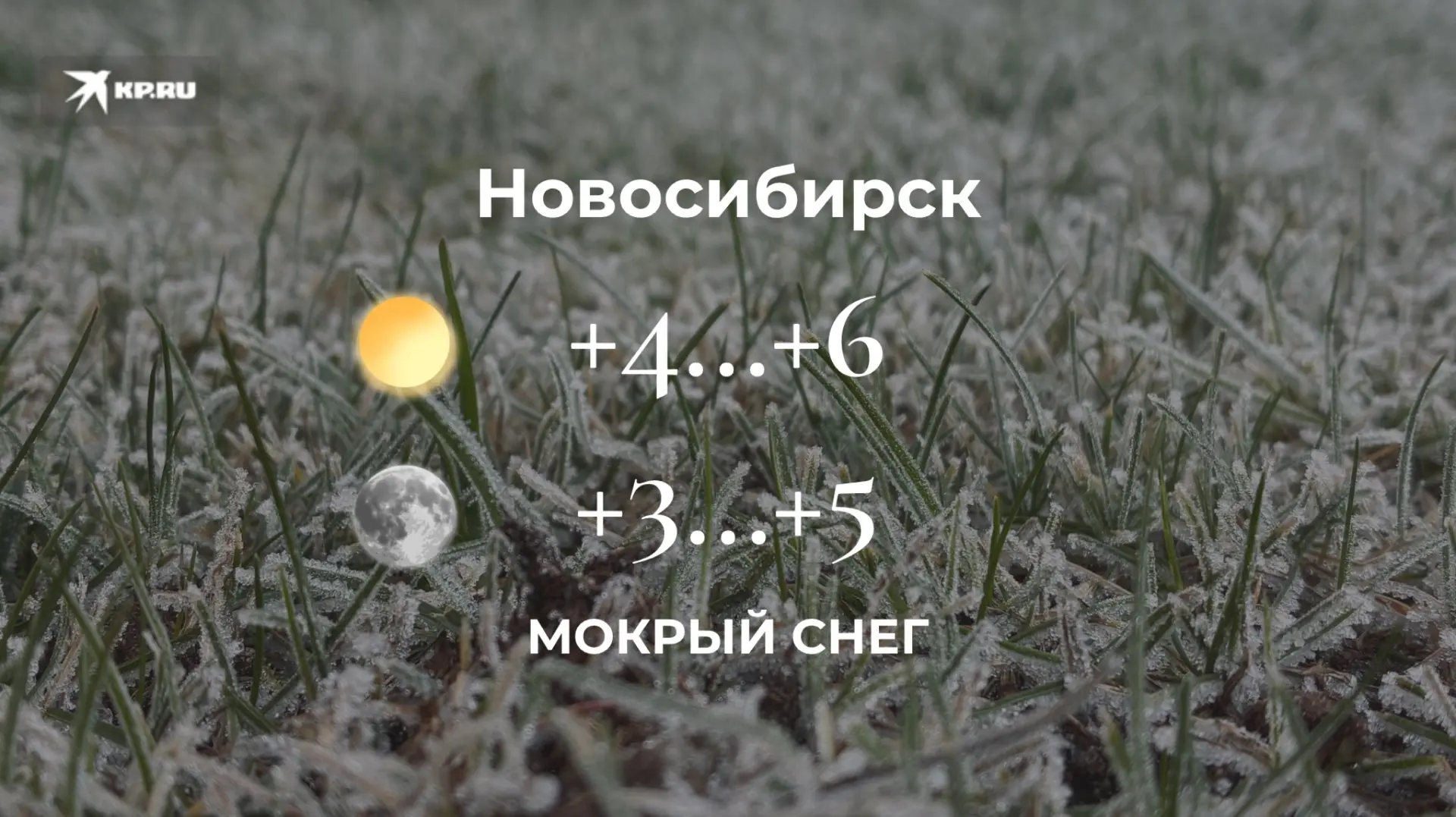 Доброе утро, новосибирцы!