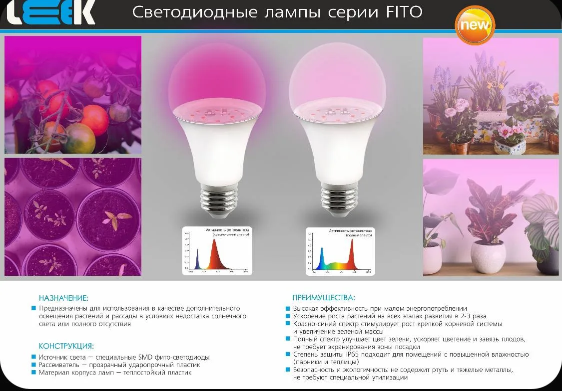 В наличии FITO🟣 лампы полного и красно-синего спектра Е27 12w💡

Линейные FITO🟣 светильники Т5 кра
