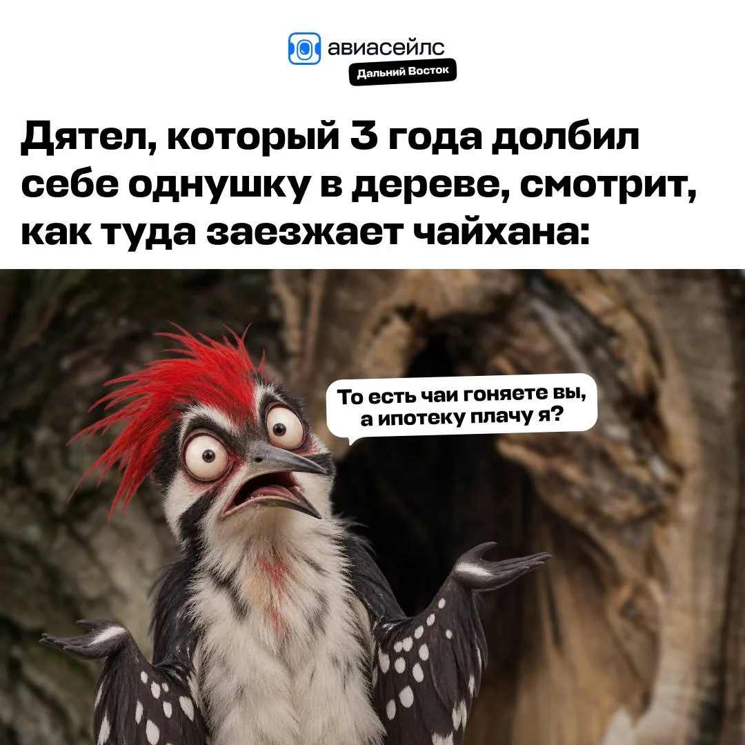 Чайхана в дупле дерева: как в Узбекистане решили вопрос с дорогой арендой 💰