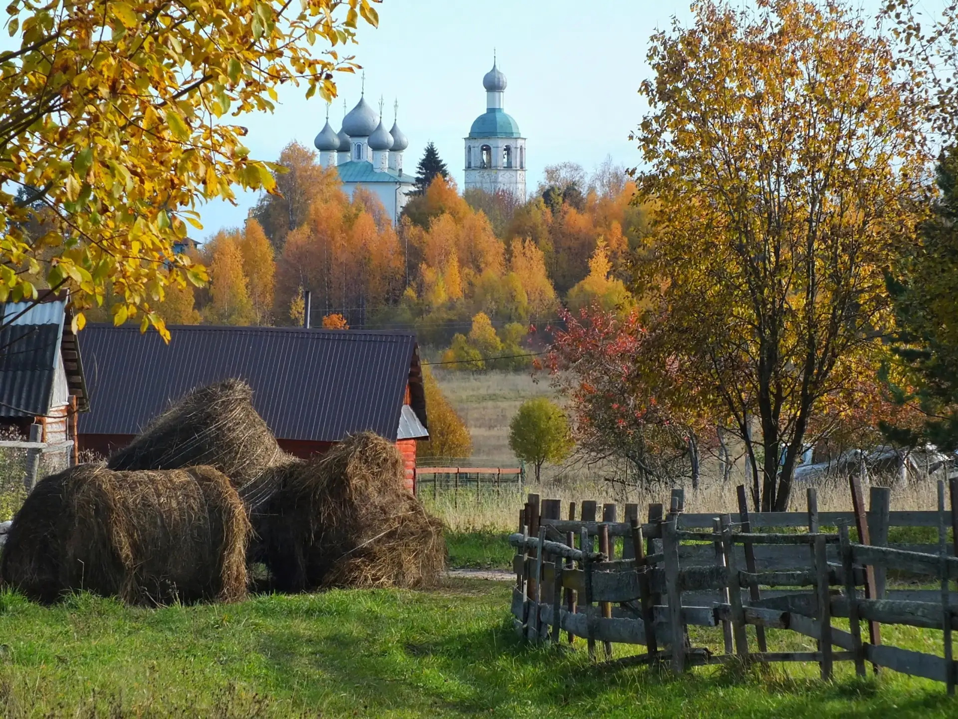 Здесь осень шепчет о покое...🍂