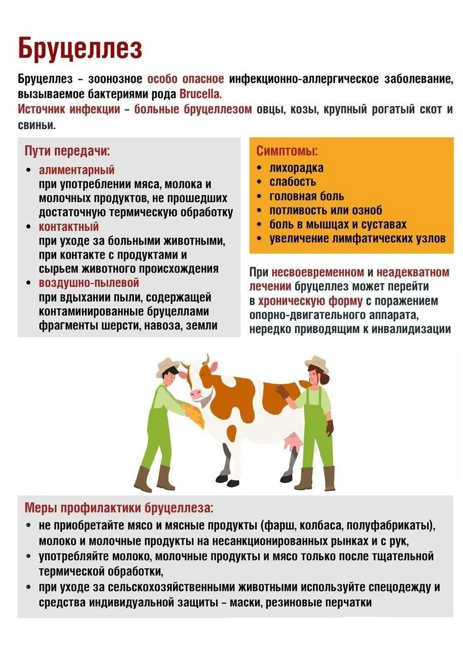❗️Роспотребнадзор напоминает, что бруцеллез — это острое инфекционно-аллергическое, зоо...