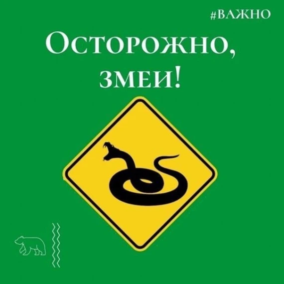 Памятка «Осторожно: змеи!» содержит ключевые правила поведения при встрече со змеями и ...