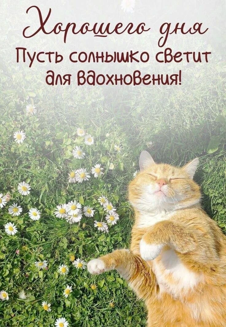 Счастливые открытки 💌