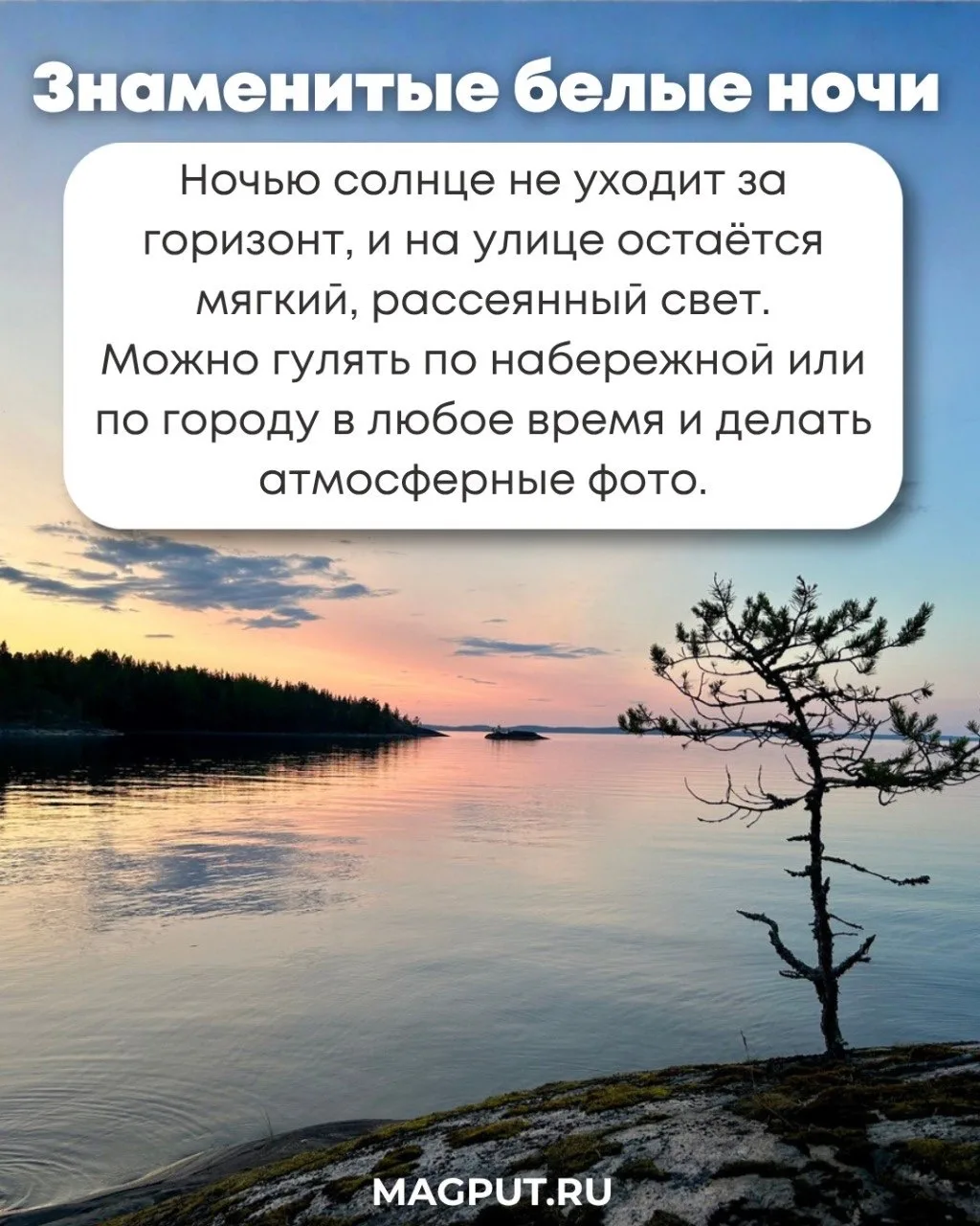 6 причин бросить всё и уехать в Карелию этим летом 🌲