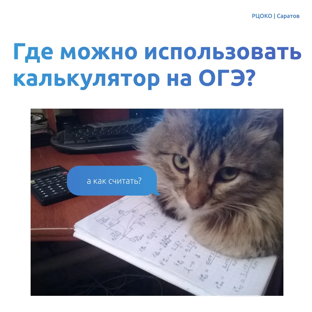 Все предметы ОГЭ, на которых можно и нельзя использовать калькуляторы во время экзамена