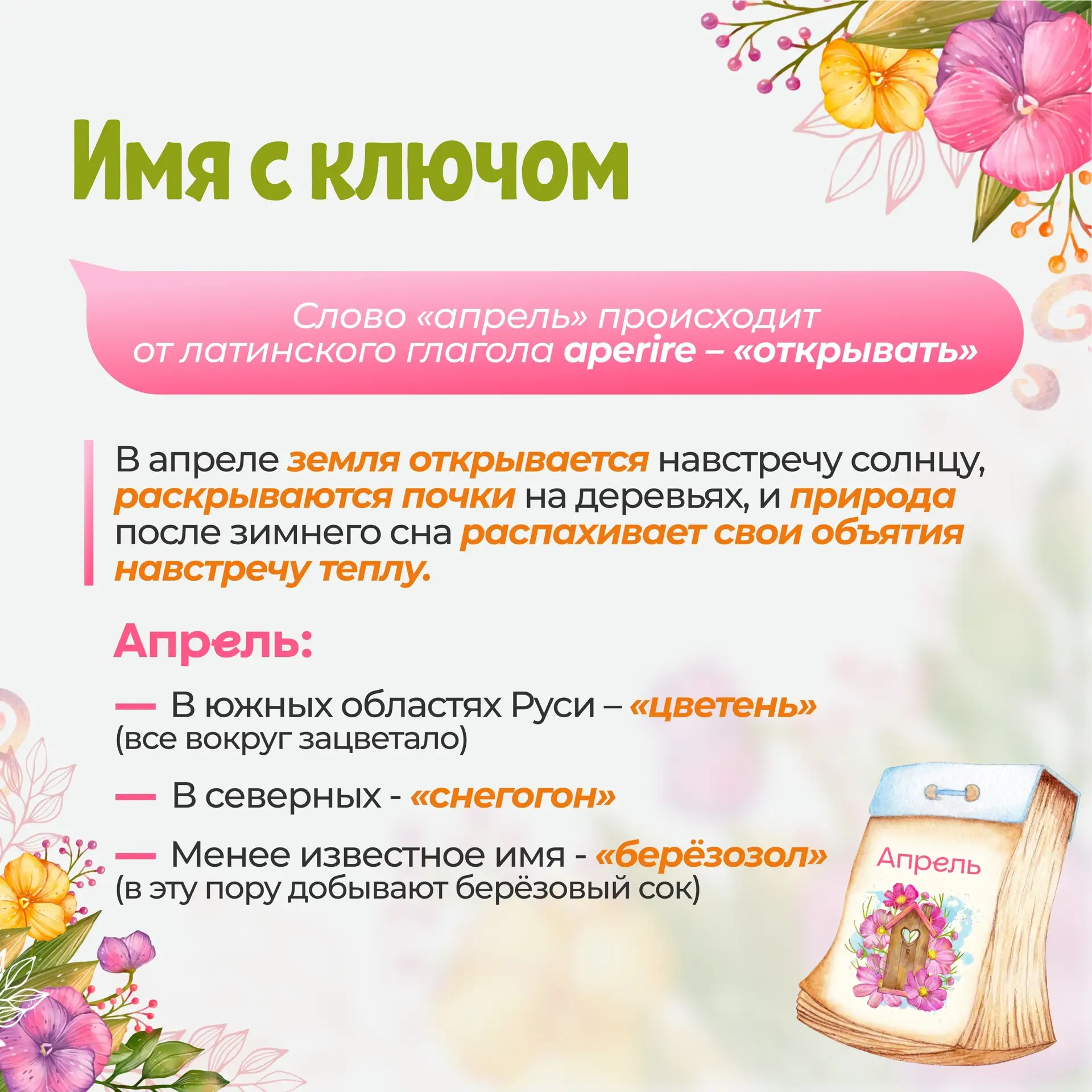 На дворе второй месяц весны🌷