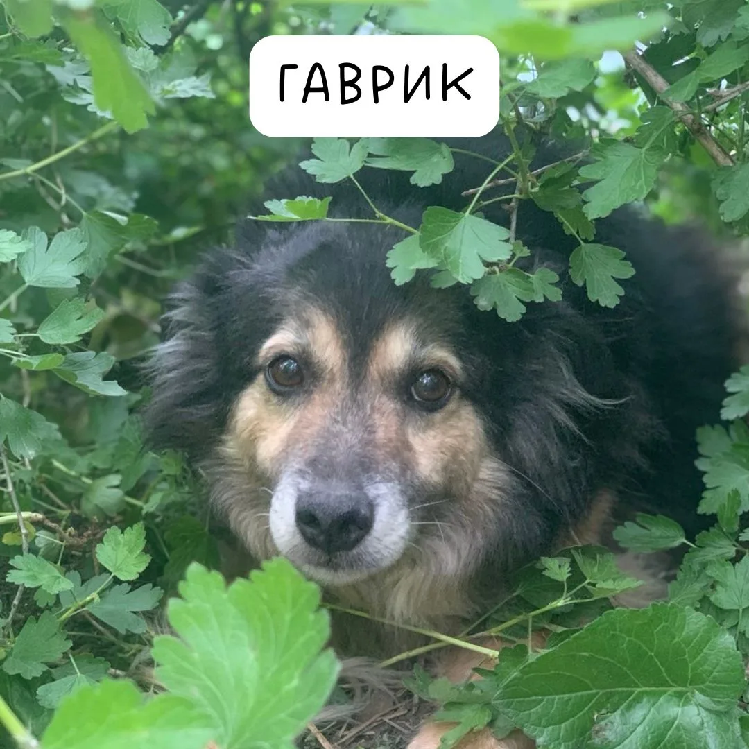 🐶 Кубок Яши Правкина продолжается. Тур 4

ГОЛОСОВАНИЕ ПРОХОДИТ ТОЛЬКО В НАШЕМ БОТЕ. ПЕРЕХОДИТЕ ПО С