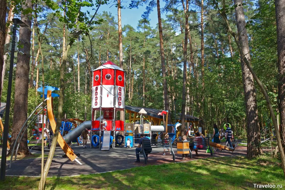 🌲 ПРОВОДИМ ВЫХОДНЫЕ ПОСРЕДИ СОСНОВОГО ЛЕСА!