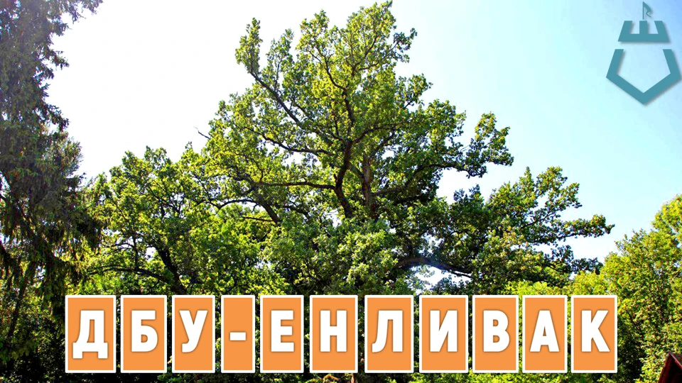 #зарядка_для_ума
