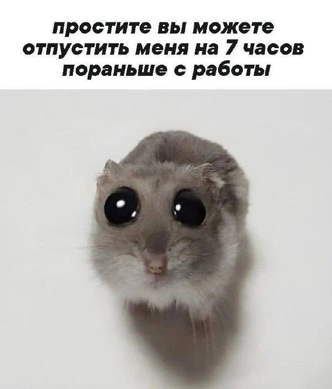 Ставь лайк! ❤️