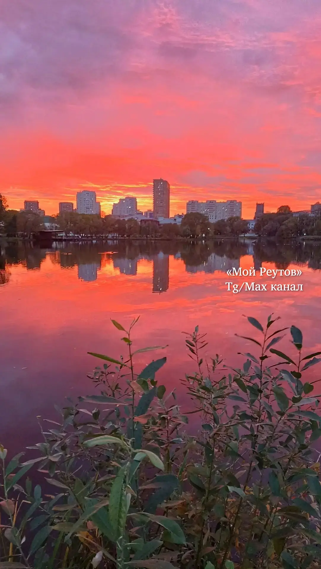 🌅"Красивого заката много не бывает😉😍"