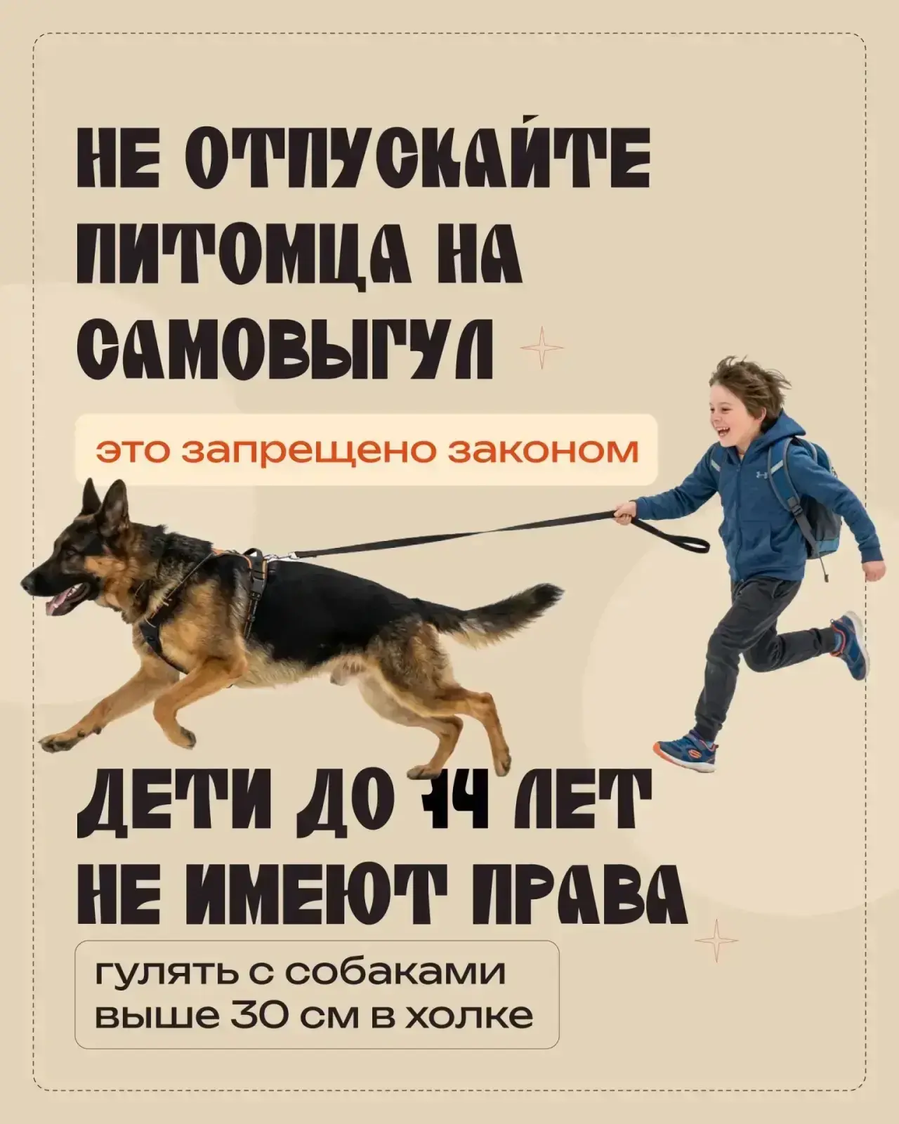 🐕 Правильный выгул собаки – дело непростое