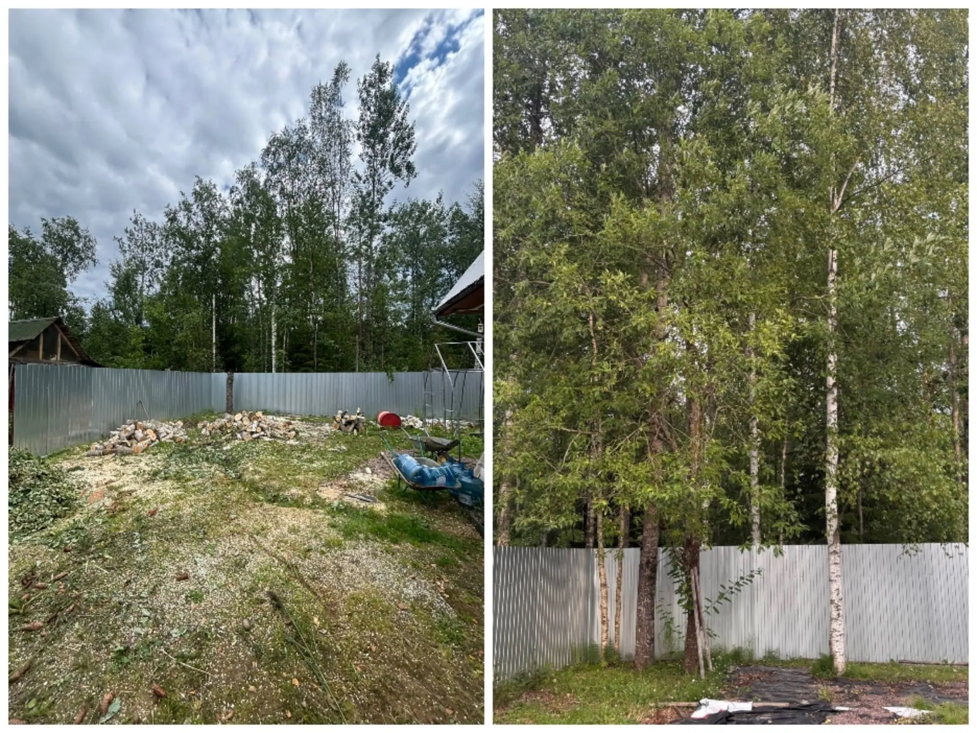 🌳 СНТ «Экспресс», массив Горы-3: заказчик вернулся к нам спустя 2 года