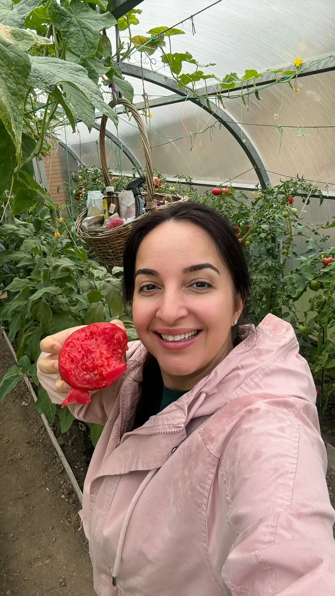 Ребята, всё хочу показать вам мой урожай в этом году 🍅🥒