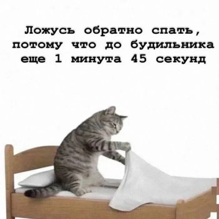 Утро доброе