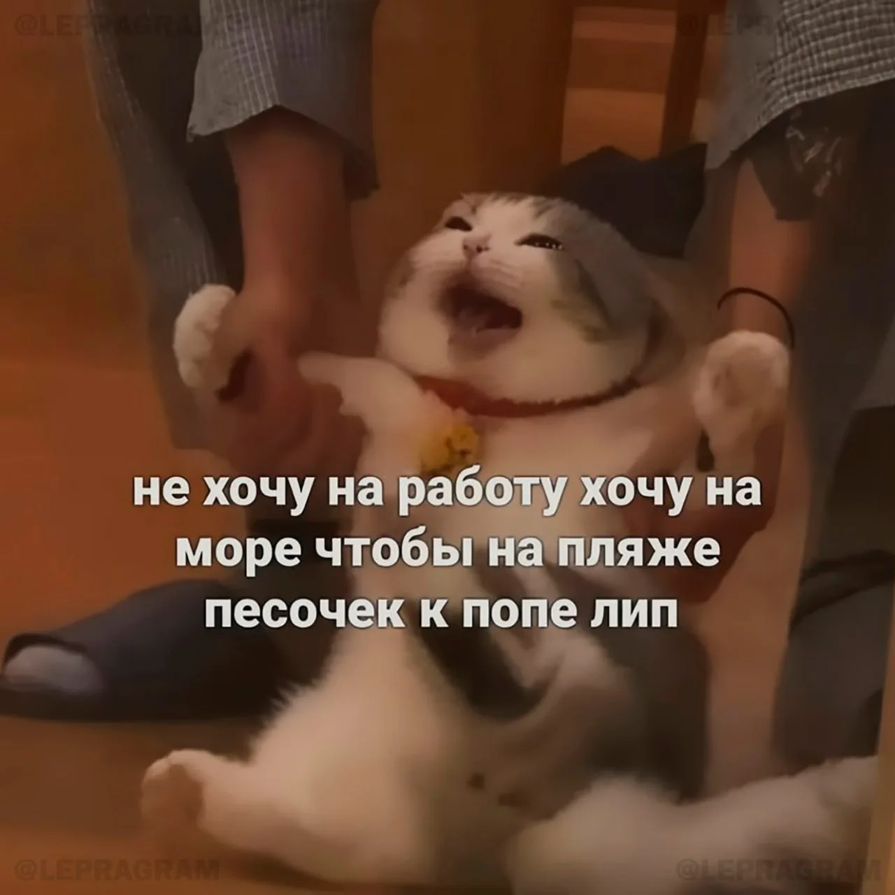 Состояние на утро понедельника только такое 🗣