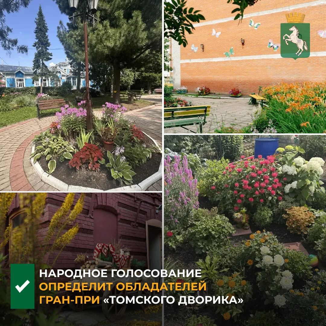 📢До 16 августа будет проходить народное голосование на гран-при среди победителей конк...