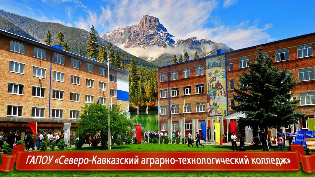 Куда поступить?